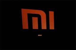 xiaomi ecommerce business