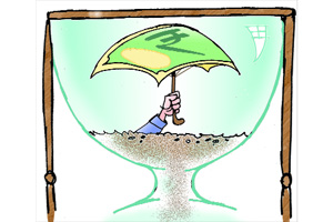 Govt notifies insurance FDI cap hike to 49 pct Govt notifies insurance FDI cap hike to 49 pct