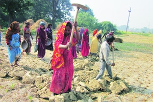 Rural job scheme spend unchanged, govt may tweak structure, coverage