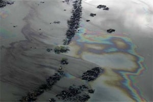 India on alert after oil spill in Sundarbans