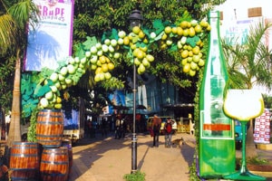 Goa to organise Grape Escapade 2015 from Jan 23- 26 Goa to organise Grape Escapade 2015 from Jan 23- 26