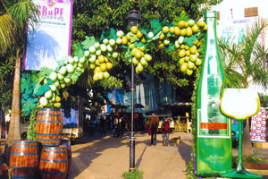 Goa to organise Grape Escapade 2015 from Jan 23- 26