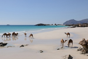 MoT signs MoU with Oman Tourism