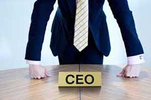 Building of a smart CEO: Spectrum talent Management