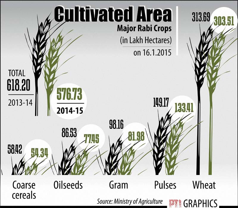 Cultivated area for major rabi crops.