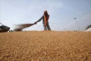 Food shortage
