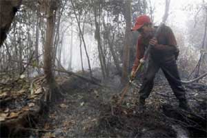 Government eco-sensitive zones, Industrialisation, Industry eco-sensitive zones