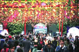 The litfest tamasha that everyone loves