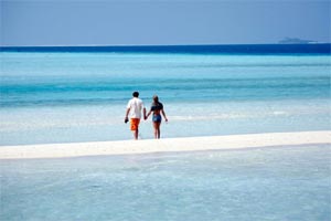 ltc rules, ltc claim form, ltc form, ltc to saarc countries, ltc rules 2014, ltc news, leave travel concession, leave travel concession rules, Government staff, Government staff LTC, employees LTC, LTC Nepal, LTC Sri Lanka, LTC Maldives, India news