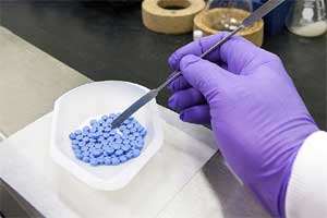 ajanta pharma
