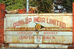 Dunlop under scanner of parliamentary panel