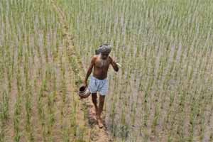 According to IMD’s national agromet advisory service, the prevailing weather conditions are suitable to continue agricultural activities like land preparation and sowing of kharif crops in north-eastern states, Kerala, Karnataka, Maharashtra and West Bengal. According to IMD’s national agromet advisory service, the prevailing weather conditions are suitable to continue agricultural activities like land preparation and sowing of kharif crops in north-eastern states, Kerala, Karnataka, Maharashtra and West Bengal.