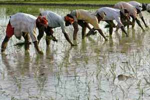 Jaitley observed that the past two years were "most challenging" due to "less than adequate" monsoon, which he noted, resulted in "very marginal" growth of economy. (PTI) Jaitley observed that the past two years were "most challenging" due to "less than adequate" monsoon, which he noted, resulted in "very marginal" growth of economy. (PTI)