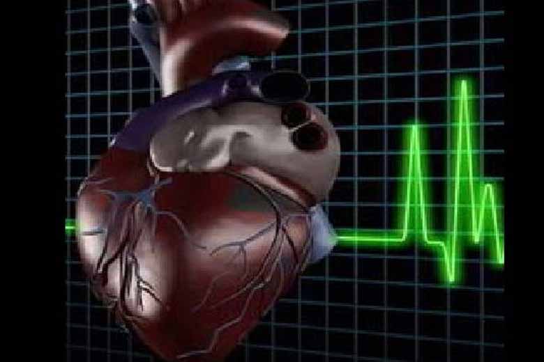 heart, heart health, sitting, heart health sitting