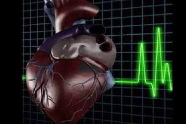 heart, heart health, sitting, heart health sitting