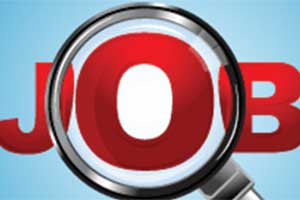 IBPS, ibps clerk result, ibps clerk, ibps result, IBPS Results 2015, education news, ibps education news