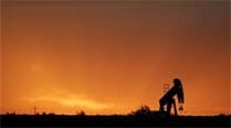 crude oil price, crude oil, crude oil news, crude oil price news, oil falling, oil price, Hindustan Petroleum Corporation, Narendra Modi