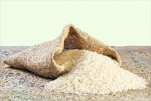 rice, Levy rice, Levy rice dispense, Levy rice govt, Levy rice government, Levy rice october, fci rice, Levy rice, Levy rice dispense, Levy rice govt, Levy rice government, Levy rice october, fci