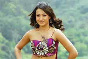 Trisha Krishnan, Trisha Krishnan marriage, Trisha Krishnan Varun Manian, Trisha Krishnan engagement, Trisha Krishnan news