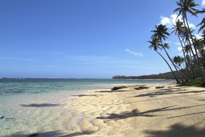 Fiji Airways explores codeshare opportunity with Air India