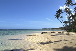 Fiji Airways explores codeshare opportunity with Air India