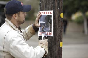 Super bowl ad, Super bowl commercial, Budweiser
