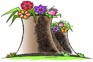 Over the barrel: The green budget
