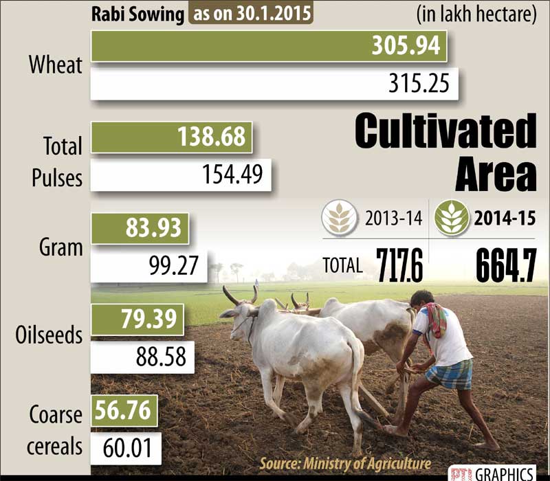 Rabi crops, Rabi sowing