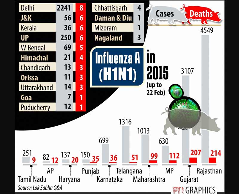 Swine Flu, H1N1 influenza