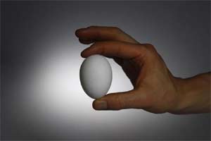 eggs, Eating eggs, Eating eggs diabetes, diabetes risk, eggs for diabetes, health news