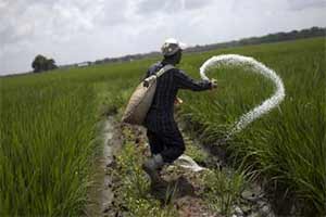 land acquisition bill, land acquisition bill ordinance, Rajya Sabha, Narendra Modi, Congress, Bharatiya Janata Party, BJP News, P Chidambaram