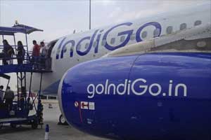 Indigo ipo