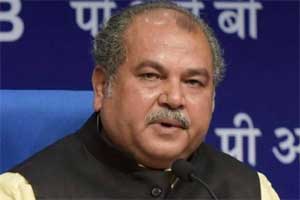 Narendra Singh Tomar, equity participation, SAIL, NMDC, equity participation for SAIL, economy news Narendra Singh Tomar, equity participation, SAIL, NMDC, equity participation for SAIL, economy news