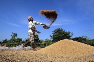 Economic Survey 2015, Economic Survey, arun jaitley, Economic Survey arun jaitley Economic Survey 2015, Economic Survey, arun jaitley, Economic Survey arun jaitley