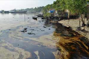 Sunderbans, World Bank, World bank india, World bank data, Environment, environmental damage