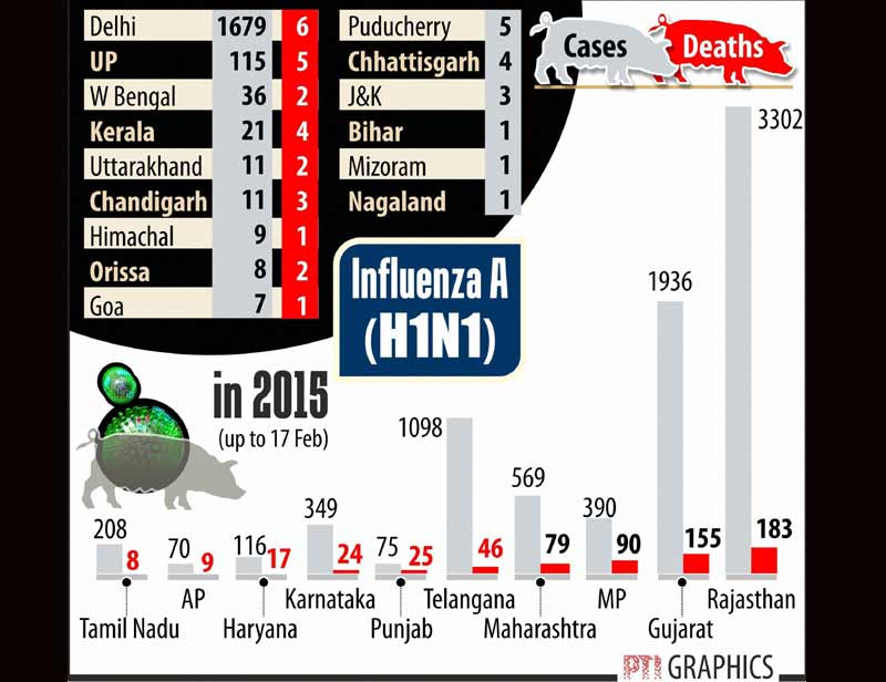 swine flue, swine flu in India, h1n1