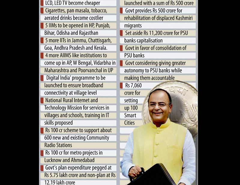 Budget 2014, Interim budget 2014, arun jaitley budget 2014, arun jaitley, arun jaitley budget 2014 date, arun jaitley budget income tax