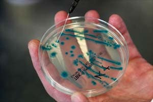 antibiotic, antibiotic resistance, bacteria, health news