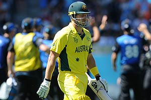 Australia, australia cricket team, australia new zealand, Australia vs New Zealand, Australia, Shane Watson Australia, australia cricket team, australia new zealand, Australia vs New Zealand, Australia, Shane Watson