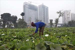 Land bill, Land ordinance, land acquisition bill, narendra modi