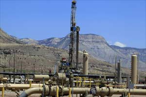 Natural gas, gas price, India gas price