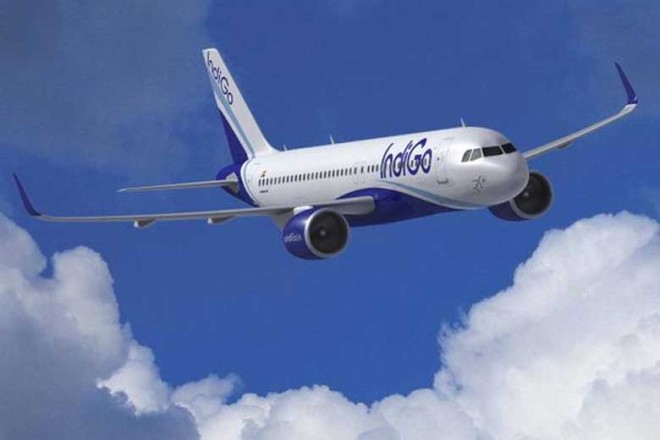 indigo indigo