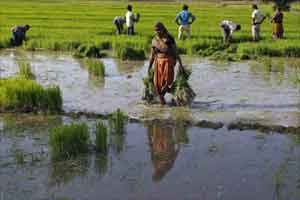 weak monsoon