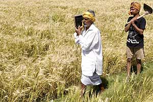 Narendra Modi, Narendra Modi farmers, Narendra Modi mann ki baat, Narendra Modi promises, Farmers suicides, jawans killed, Congress Modi, national news