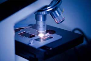 indian american, india news, united states of America, US latest news, Alfred P Sloan, Alfred P Sloan foundation, Alfred P Sloan fellowship, american fellowship, Alfred P Sloan award, india us relations, india us, indian american, india news, united states of America, US latest news, Alfred P Sloan, Alfred P Sloan foundation, Alfred P Sloan fellowship, american fellowship, Alfred P Sloan award, india us relations, india us,