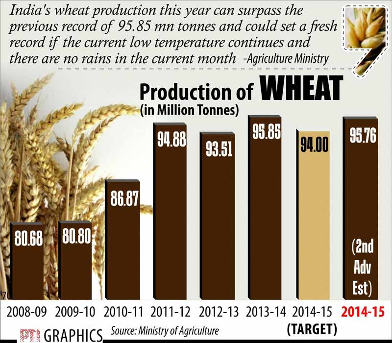 Production of wheat.