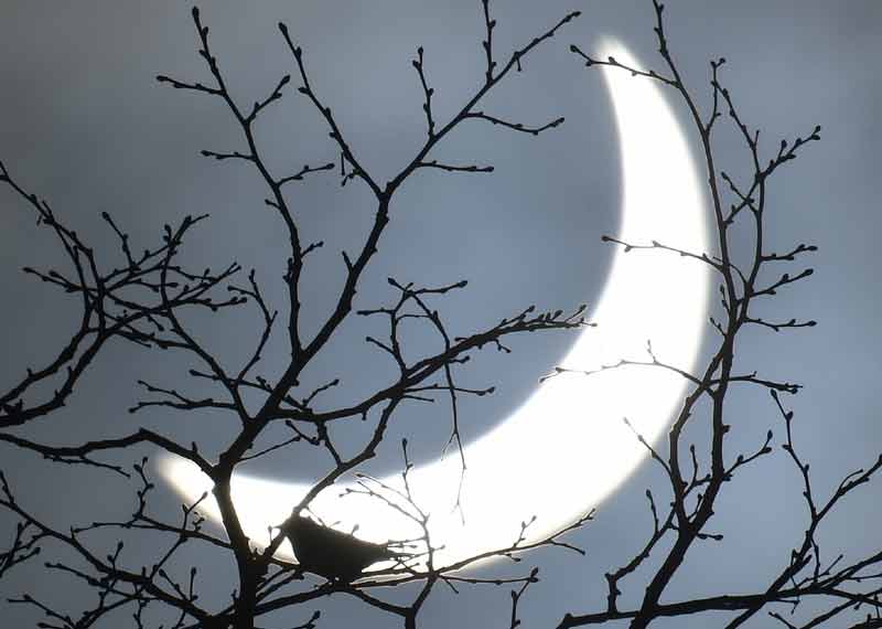 Solar eclipse, Solar eclipse sweeps, Solar eclipse atlantic, Solar eclipse from island, Solar eclipse remote islands, atlantic ocean, Solar eclipse atlantic ocean