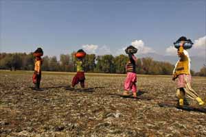 The union agriculture ministry says eNAM is an online platform but should not be mistaken as a parallel marketing structure. (Reuters)