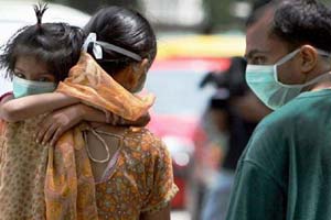 swine flu, swine flu case, swine flu death, swine flu India