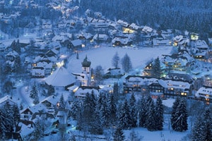 Germany’s Black Forest: Dark woods and mushrooms
